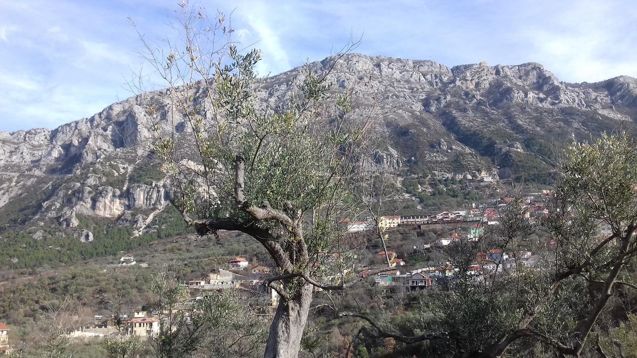 Kruja Hostel Bagian luar foto