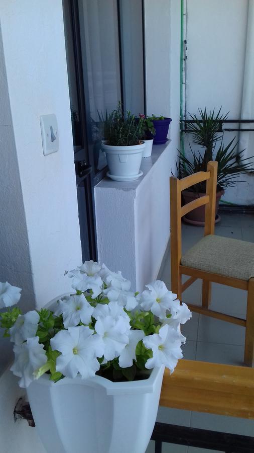 Kruja Hostel Bagian luar foto