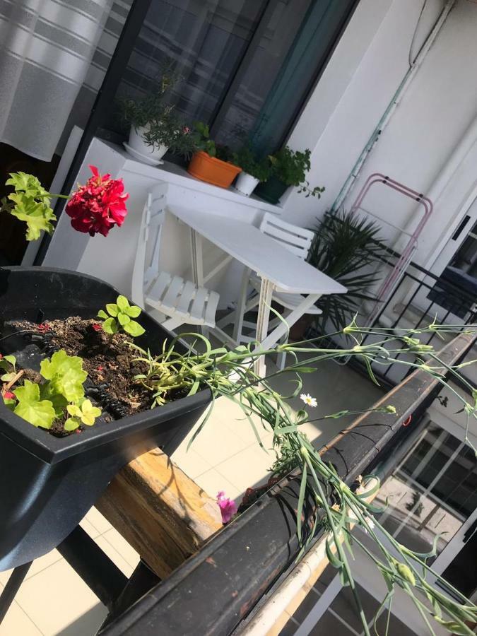 Kruja Hostel Bagian luar foto